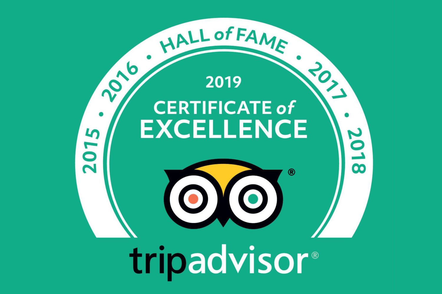 green graphic with trip advisor logo